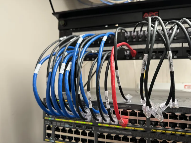 Labeled patch cables plugged into a network switch