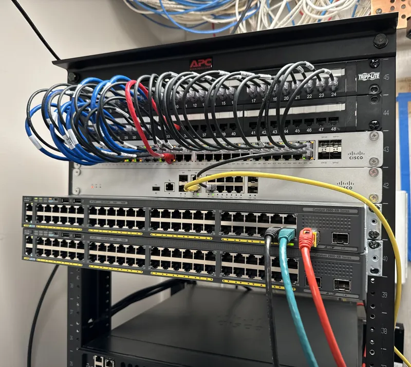 Short blue, black and red patch cables running from a patch panel into switches